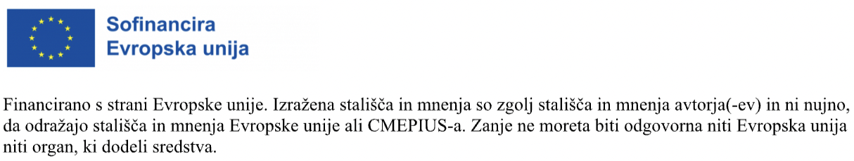 sofinancira-evropska-unija zastava evropske unije